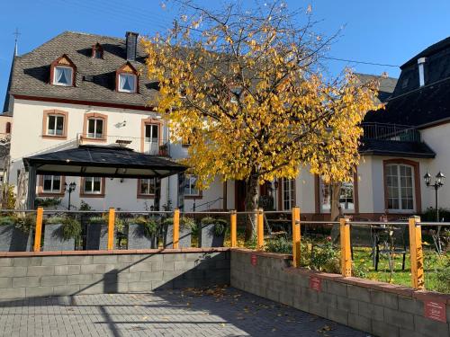 Weinhof Michael Morbach Zeltingen-Rachtig allemagne