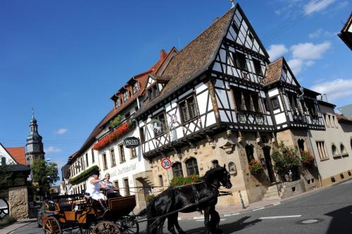 Hôtel Weinkastell Zum Weissen Ross Weinstraße 82 Kallstadt