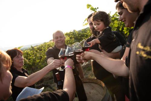 Hôtel Weinschlößchen im Weingut Roos 52 Hauptstraße Ilbesheim