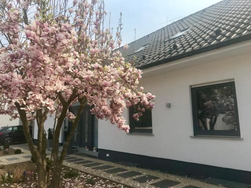 Appartement Weinurlaub Julius Echter Straße 3 Sulzfeld am Main