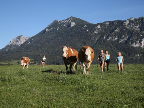 Weissenhof - Chiemgau Karte Inzell allemagne