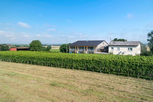 Winzerhof Schmid Schwaigern allemagne