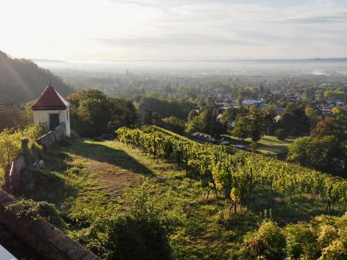 Wohlfühl-Apartment am Lösnitzgrund Radebeul allemagne