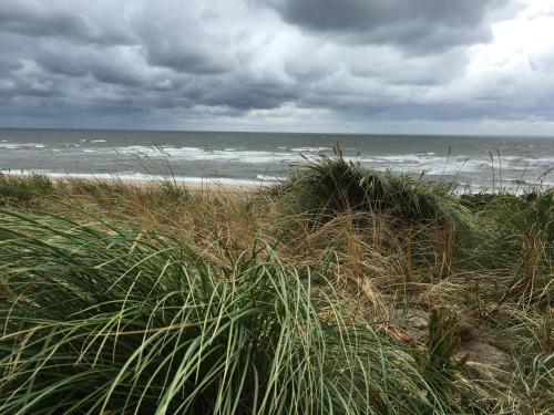 Wohnung am Meer Sylt Westerland allemagne