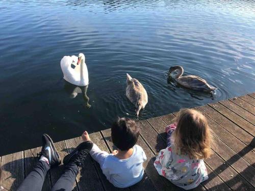 Wohnung Lisa Grüne Idylle im Wald direkt am See Wendisch Rietz allemagne