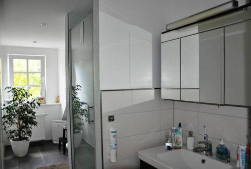 Appartement Wunderschöne Loft-Stadtwohnung Mergentheimerstr 7a Wurtzbourg