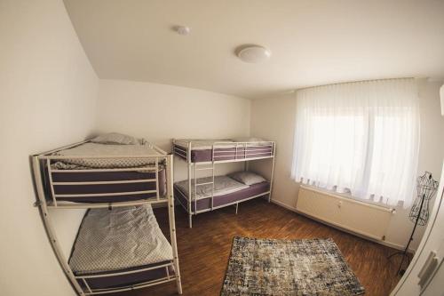 Appartement Wunderschöne neue 3,5 Zimmerwohnung Nähe Kassel Bis 7 Personen 44 Weddel Fuldatal