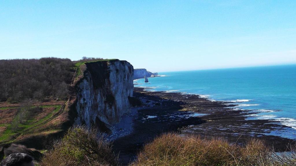 Tente de luxe yourte-tipi-etretat 141 Impasse de la Haye d'Etigues, 76790 Les Loges