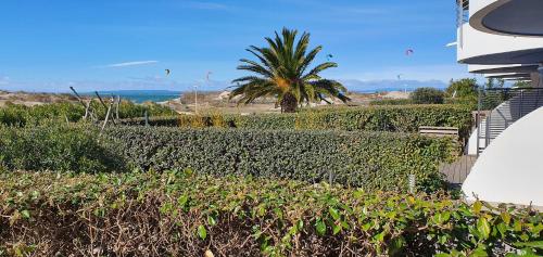 Appartement Zen et Mer 152 210 Route des Marines Le Grau-du-Roi