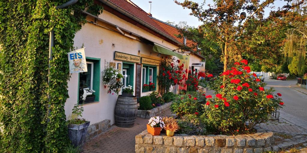 Appartements Zimmer am Schwielowsee 21 Dorfstraße Erdgeschoss, 14548 Schwielowsee