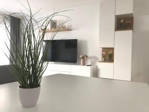 Zollernalb-Apartment G6 Albstadt allemagne