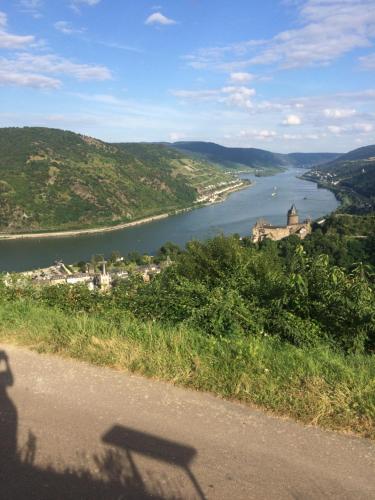 Zur Fledermaus Bacharach allemagne