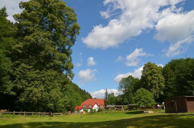 Hôtel Zur Sommerfrische Lothramühle Lothramühle 38, 07338 Drognitz